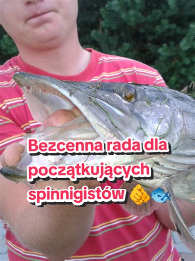 Wahadłówka na początek spinningu – najlepsza przynęta na szczupaka