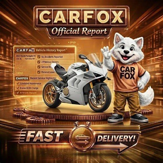 Motorcycle VIN History Report | Bike History Lookup | Used Motorcycle History Report | Cheap Moto History Report | Fast Digital Delivery - Etsy