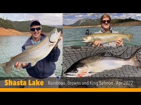 Shasta Lake fishing for Rainbows, Browns & King Salmon - Apr 2022