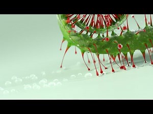 Get Sh** Done : How to nail Commercial Product Ads | Baked Creative | FMX HIVE 2024