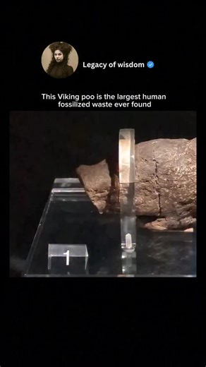Legacy of wisdom on Instagram: "The Viking poo, called the Lloyds Bank Coprolite, is the largest fossilized human waste ever discovered. It was found in York, England, and is now on display at the Jorvik Viking Centre. This coprolite gives researchers a fascinating glimpse into the Viking diet and digestive habits. Did Vikings really conquer lands, or just conquer their meals first? Via @jetlagdaver #VikingHistory #MuseumFinds #AncientLOL #JorvikCentre #BiggestPooEver"
