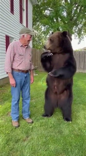 Why You Checking Your Pulse #grandpa #bear #shorts