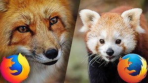 Firefox-Logo: Ist es ein Fuchs oder ein roter Panda?