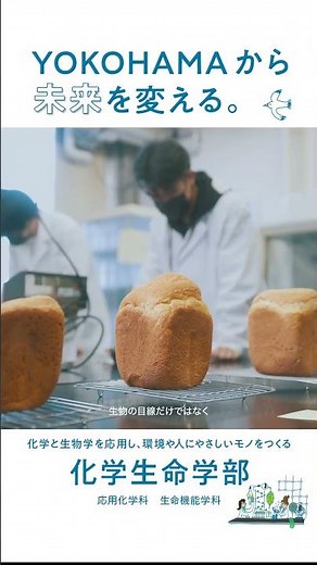 神奈川大学化学生命学部（2023年4月開設） 学部紹介
