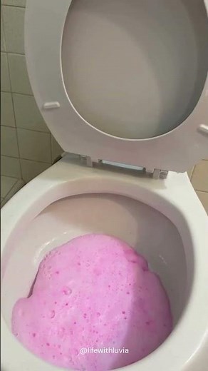 How to Clean a Toilet Properly Using Power Foaming