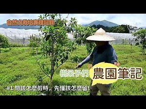 【樹呆子們的農園筆記】#1問該怎麼剪前，要先學會怎麼留！#果樹修剪 #預備枝 #頂芽優勢
