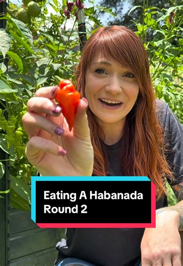 Eating a Habanada Round 2: Second Taste Test of a Mild Habanero