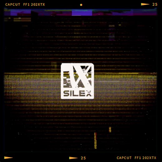 Vidéos de Silex (@silexcollection) avec son original - Silex