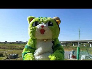 浦和のゆるキャラのらねこくん：性別と年齢の設定