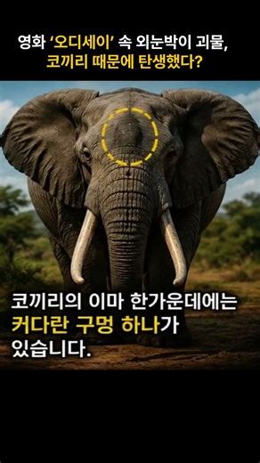 영화 ‘오디세이’ 속 외눈박이 괴물, 코끼리 때문에 탄생했다?