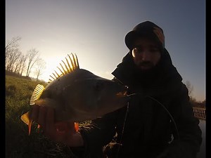 Animation drop shot, conseils et montage maison