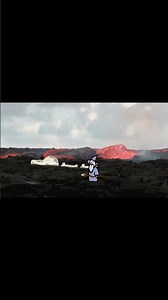 magic wizard goes on a quest for the cats