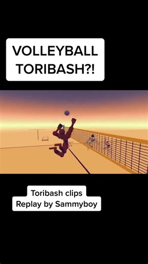 Volleyball game? #volleyball #volleyballworld #toribash #toribashgame #toribashreplays #toribashclips #gaming #videogame #gamer #sports #volleyballplayer