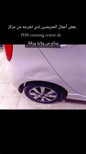 Professional Training Achievements at PDR Training Centre