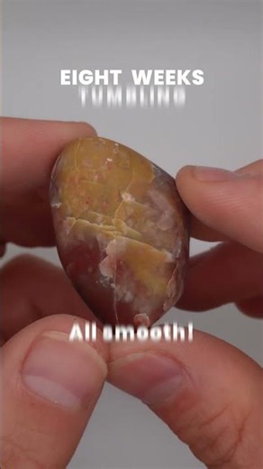 Beautiful Unidentified Yellow and Purple Tumble: Before and After