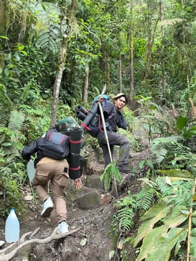 Discover the Ultimate Secret Hideout: Survival Bunker Guide