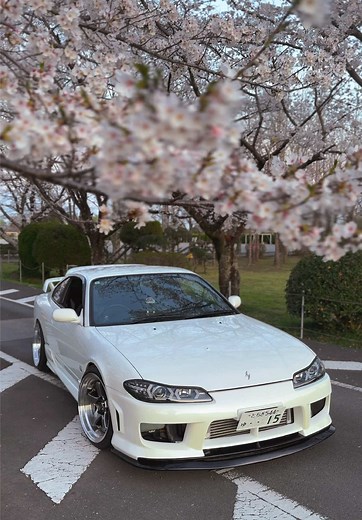 Sakura Eve: Celebrating Japanese Cars and Drift Culture