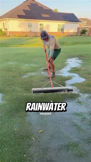 This Weird Lawn Bubble Can Destroy Your Grass 😨