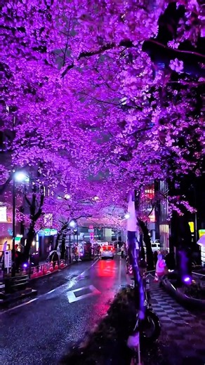 “POV: You Finally Found Peace 🌊☁️” #shorts #nature #peace #relaxing #aesthetic #4k #naturelovers