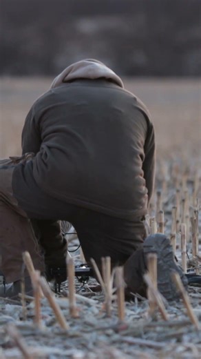 How often do you use a flag? And why?