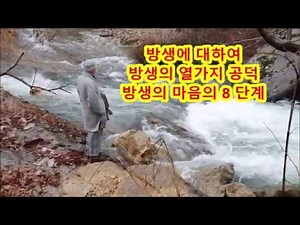 불교 방생에 대하여 방생의 열가지 공덕 방생의 마음 8단계 자비실천 십선업 방생법문 #방생 #방생의공덕