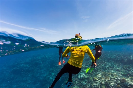 Guardian of the Reef