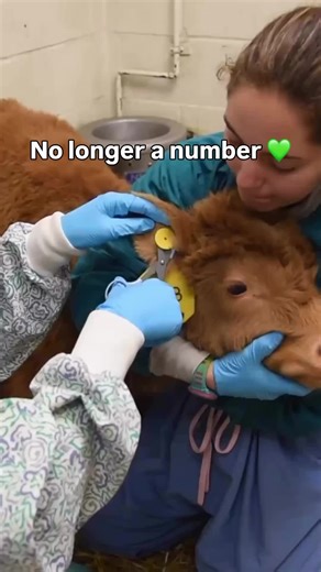 Video's van Maria Perez (@mjperez31) met original sound - Maria Perez