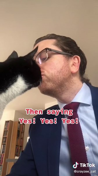 Psycho Cat Meme: Sweet but Psycho | Funny Cat Parody