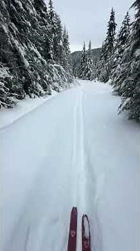 NORDIC skiing part 2. How to telemark #nordicskiing #howtotelemark