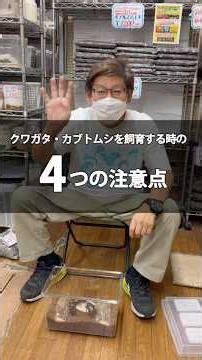 クワガタ・カブトムシを長生きさせるために大切な「4つの注意点」 #クワガタ飼育
