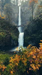 227K views · 21K reactions | Oregon’s lush forests and tranquil waterfalls are a beauty beyond compare, and they’ll always have my heart. Pacific Northwest  @izak.photography #beautifuldestinations #pnw #nature #pacificnorthwest #waterfalls #pnwexplored #forest #waterfalllovers #discoverearth #divineforest #pnwphotographer #pnwwonderland #pnwadventures #pnwcollective #pnwhiking #pnwphotography #pnwlife | Izak Photography | Facebook