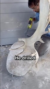 Building A Chair With Deer Antlers