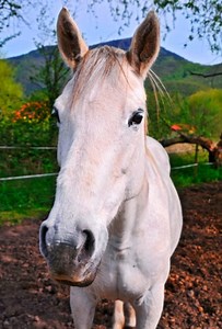 A science joke for your Saturday morning