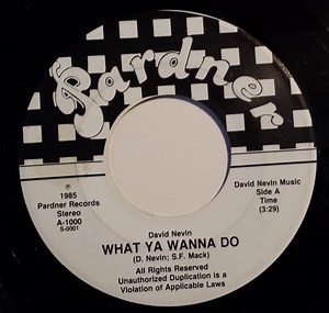 David Nevin - What Ya Wanna Do