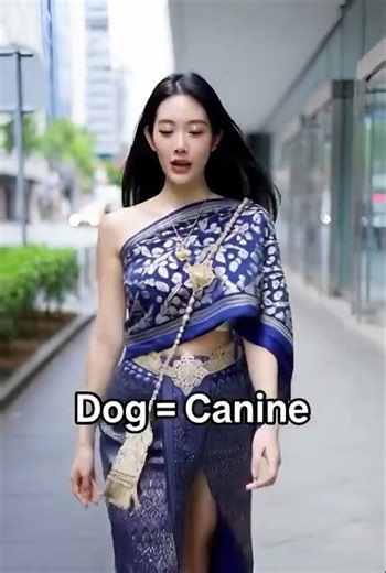 ครูอิงค์ สอน Cat and Dog แบบเท่ห์ๆ