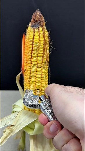 Lighters Vs Corn - Which Lighter Is Best #experiment