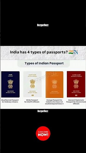 India Has 4 Types of Passports 🇮🇳 | Blue, White, Orange, Maroon Explained ✈️ #shorts