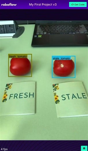 CSBP 441 Applied Computer Vision - Final project demo