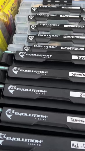 Effective Tackle Storage Solutions for Spring Fishing