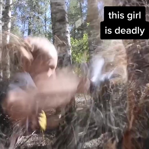 It's unbelievable how she destroyed the tree in seconds. | evnika saadvakas now