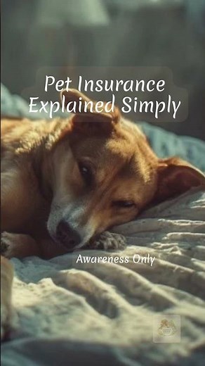 GEICO Pet Insurance Explained | Pet Care Planning