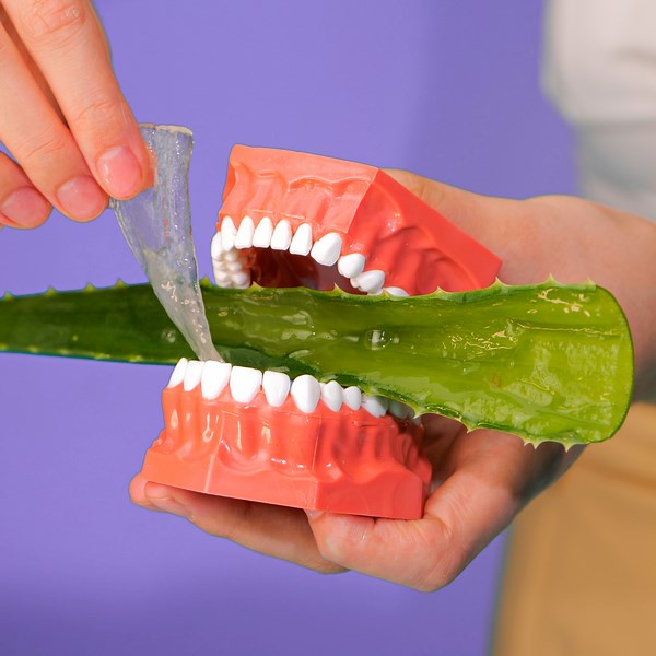 Aloe vera's surprising benefits you can't ignore