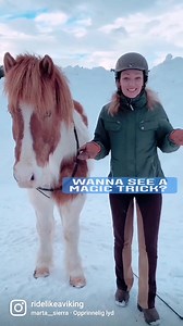 79K views · 473 reactions | The magic trick to riding with ease is having a self controlling horse✨ The secret to having a self controlling horse is connection and choices And it's not hard to do at al! In fact any horse and any rider can achieve this If you want to learn how, make sure join the FREE workshop on Wednesday拾 Reserve your spot on www.ridelikeaviking.com/workshop Will I see you there? | Ride Like a Viking | Facebook