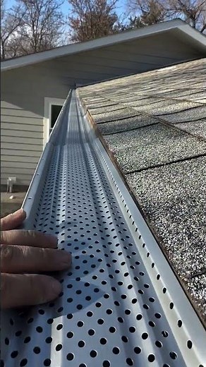 Install leaf guard in your gutters and grow trees in your yard where they’re supposed to grow!