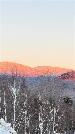 MOLLY FAYE on Instagram: "alexa play surf (ski) by young thug ❄️🧊🥶 @usskiteam @dunkin"
