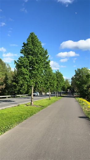 Exploring Espoo: The Nordic Style of Finland