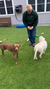 5.3K views · 19 reactions | NH Gives with the Animal Rescue League of...