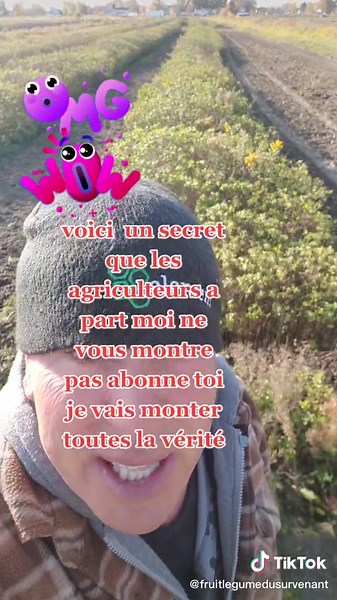 # désherbage menthe # voici la beauté du biologique #fruitsetlesgumesdusuvenant