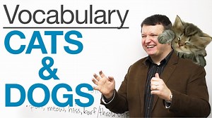 English Vocabulary – CATS & DOGS