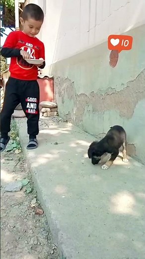 Qiziqarli videolar